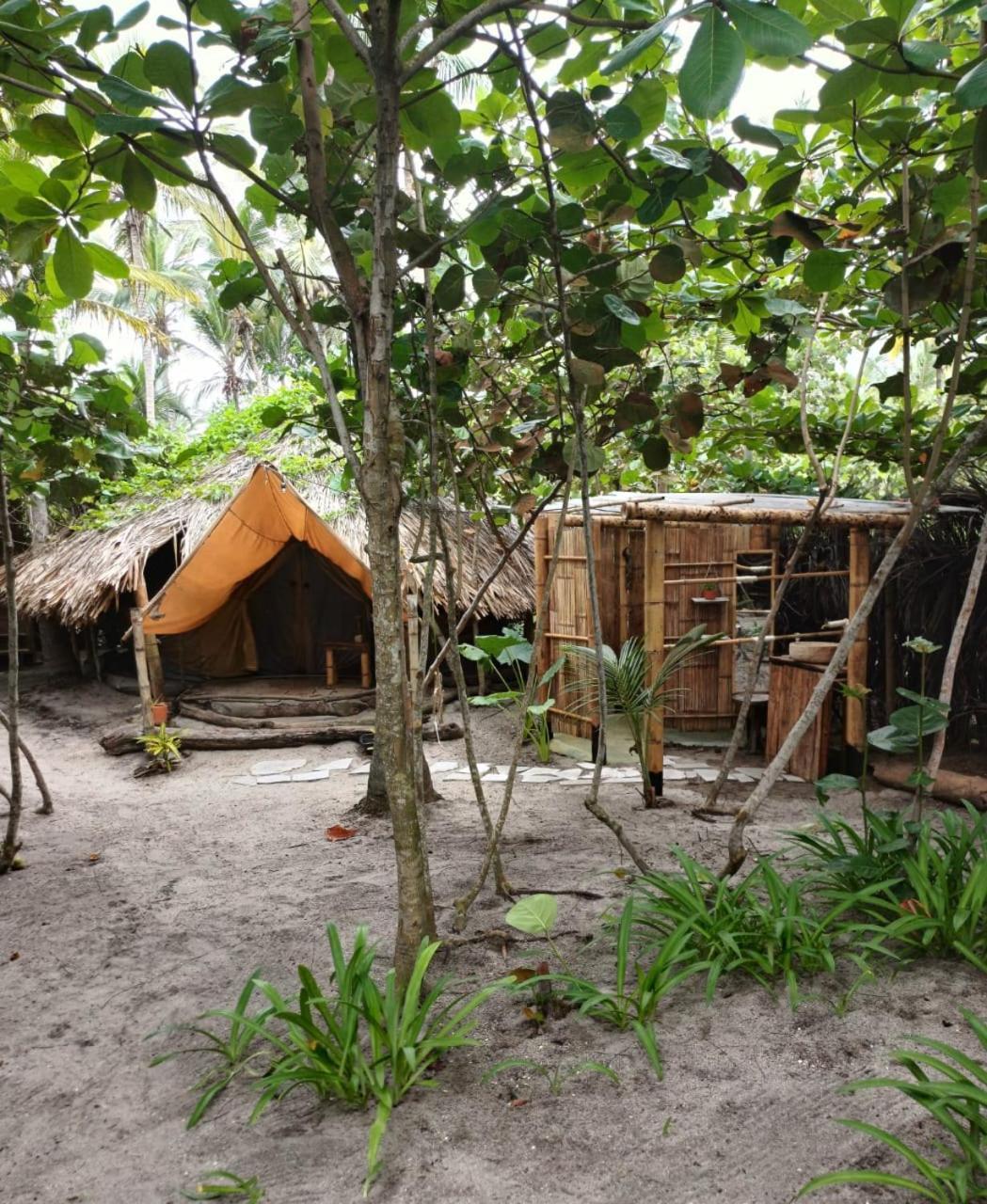 מלון Guachaca Lote 10 Glamping מראה חיצוני תמונה